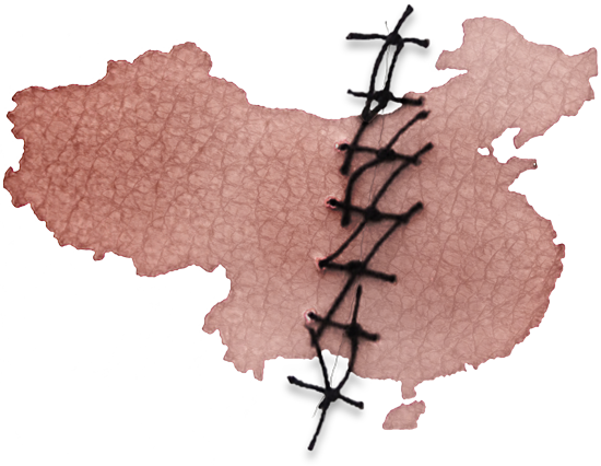 China Tribunal Confirms Live Organ Harvesting on Prisoners  Continues Still