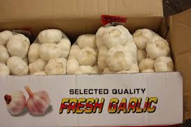 80% of Garlic Imported from China Worldwide is Tainted with  Noxious Chemicals